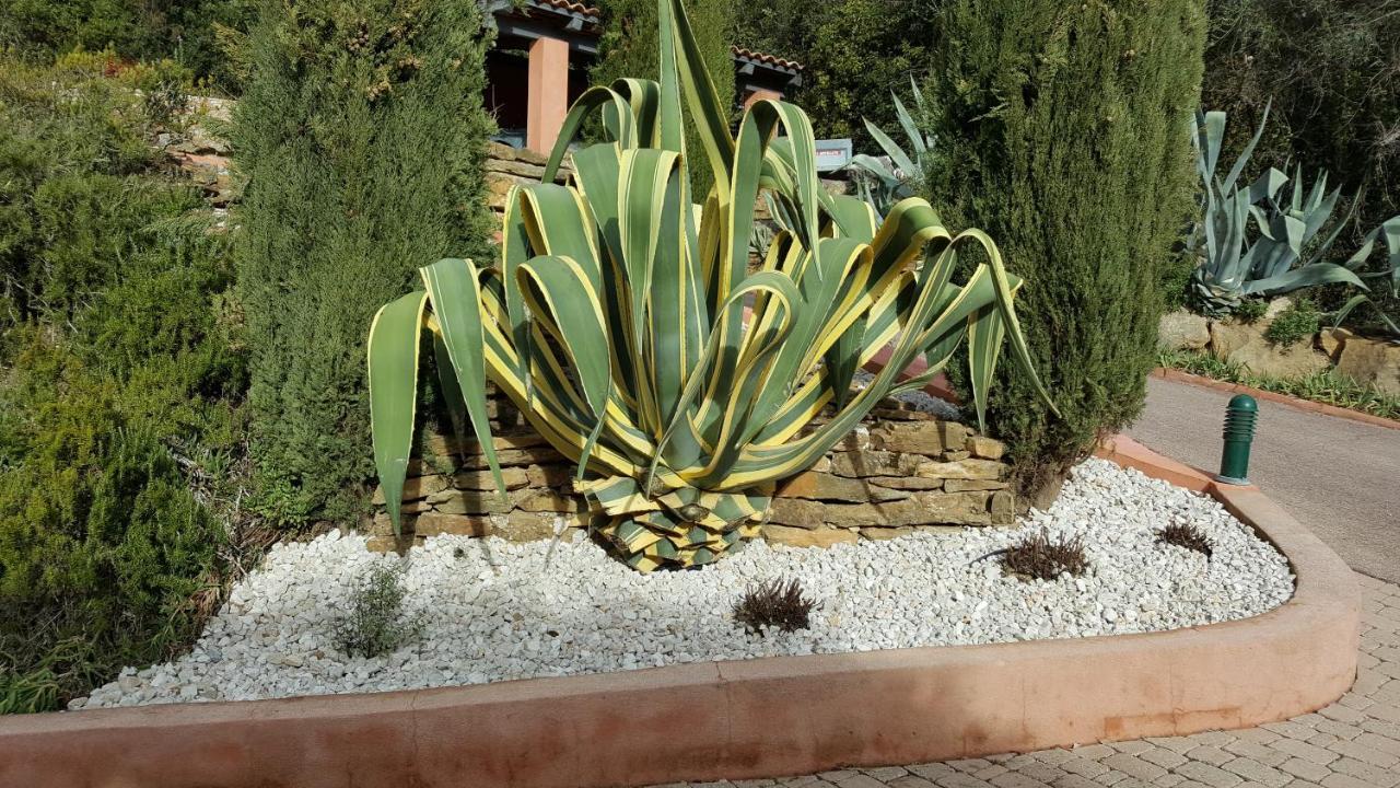La Maison Du Castellet 勒卡斯特雷特 外观 照片
