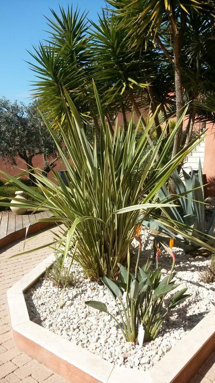 La Maison Du Castellet 勒卡斯特雷特 外观 照片