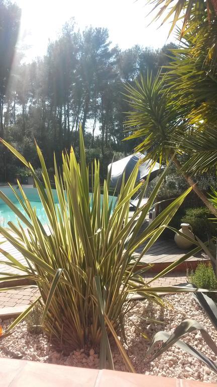 La Maison Du Castellet 勒卡斯特雷特 外观 照片