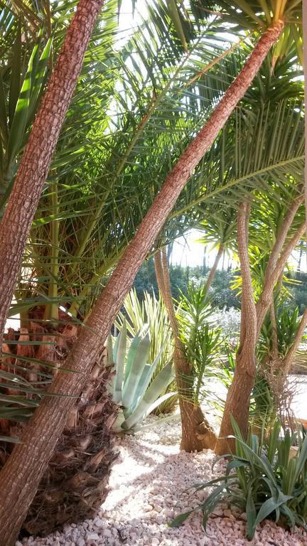 La Maison Du Castellet 勒卡斯特雷特 外观 照片