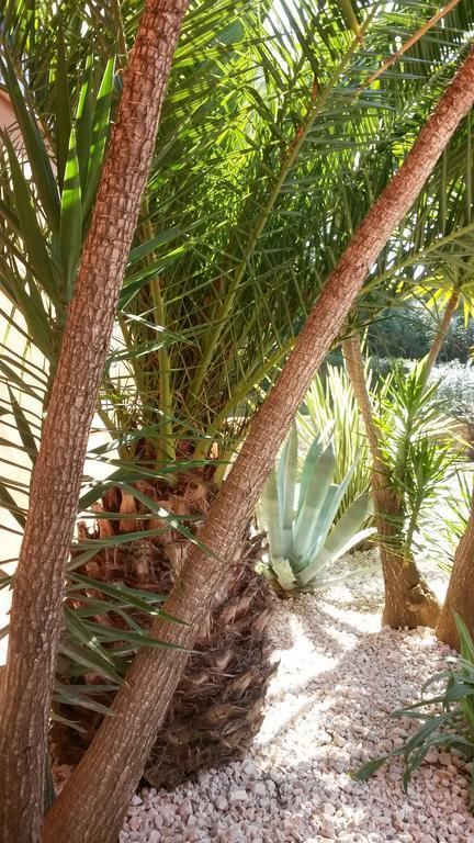 La Maison Du Castellet 勒卡斯特雷特 外观 照片
